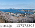 亀井公園の桜 137378208
