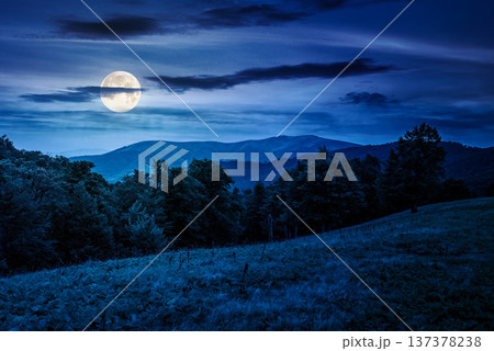 beautiful countryside scenery in summer at night. full moon over lush green grass on alpine meadow. beech forest on the hillside. mysterious view of distant mountain landscape under cloudy sky beautiful countryside scenery in summer at night. full moon over lush green grass on alpine meadow. beech forest on the hillside. mysterious view of distant mountain landscape under cloudy sky 137378238