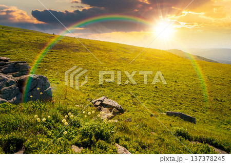 alpine mountain landscape at sunset. untouched grass and sharp sandstone on wide meadow in evening light. travel background for hiking in summer. rolling earth day wallpaper with rainbow alpine mountain landscape at sunset. untouched grass and sharp sandstone on wide meadow in evening light. travel background for hiking in summer. rolling earth day wallpaper with rainbow 137378245