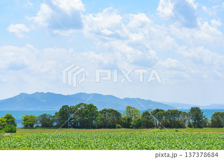 天草の畑から望む島原方面の海と田舎風景 137378684