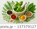 Mortar and Pestle with Fresh Basil and Assorted Culinary Spices 137379127