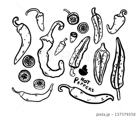 Hand drawn doodle chili pepper illustration. Whole pepper, halved and sliced pieces isolated on white background. Simple outline drawing suitable for food design, packaging, branding, prints, menus, 137379358