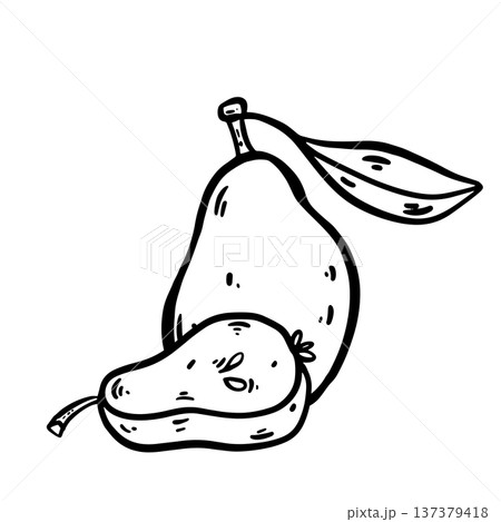 Doodle pear vector sketch, showing whole fruit and slices. Hand drawn, isolated on white background, perfect for food branding, print materials, packaging, and menu visuals. Doodle pear vector sketch, showing whole fruit and slices. Hand drawn, isolated on white background, perfect for food branding, print materials, packaging, and menu visuals. 137379418