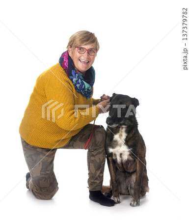 malinois and woman 137379782