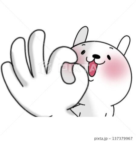オッケーサインするうさぎ オッケーサインするうさぎ 137379967