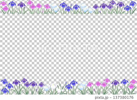 鳶尾花邊框（上下裝飾）| 初夏日式向量邊框素材 137380176