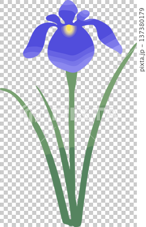 鳶尾花插圖（單朵）| 日式向量素材，適合初夏和男孩節 137380179