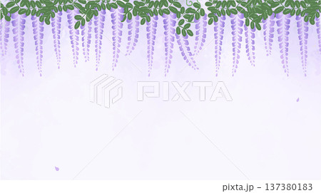 藤の花の背景イラスト｜上から下がる春の和風フラットベクター 137380183
