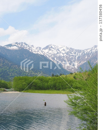 上高地・大正池の新緑と残雪が美しい5月の曇天風景 上高地・大正池の新緑と残雪が美しい5月の曇天風景 137380456