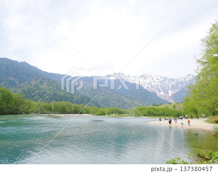 上高地・大正池の新緑と残雪が美しい5月の曇天風景 上高地・大正池の新緑と残雪が美しい5月の曇天風景 137380457