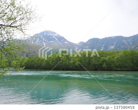 上高地・大正池の新緑と残雪が美しい5月の曇天風景 上高地・大正池の新緑と残雪が美しい5月の曇天風景 137380458