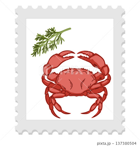 vector illustration of fresh shrimp 137380504