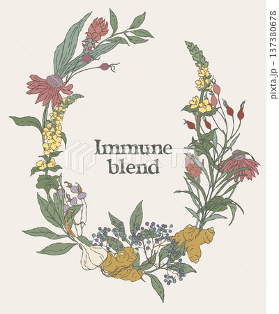 Hand drawn oval wreath made of immune tea 137380678