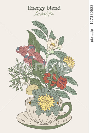 Hand drawn illustration of energy herbal blend Hand drawn illustration of energy herbal blend 137380682