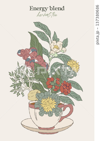 Hand drawn illustration of energy herbal blend Hand drawn illustration of energy herbal blend 137380686
