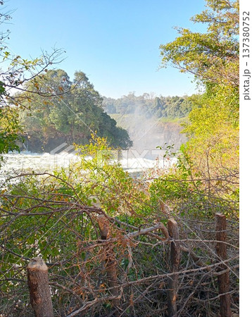 ザンベジ川の風景 ビクトリアの滝上流(ジンバブエ) 1 ザンベジ川の風景 ビクトリアの滝上流(ジンバブエ) 1 137380752
