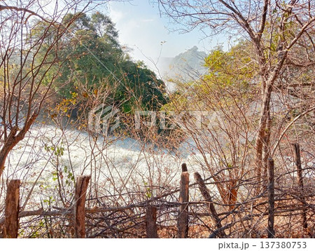 ザンベジ川の風景 ビクトリアの滝上流(ジンバブエ) 2 ザンベジ川の風景 ビクトリアの滝上流(ジンバブエ) 2 137380753