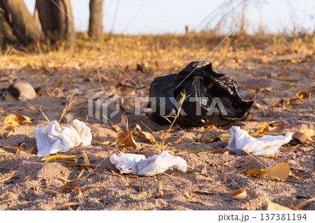 Black plastic trash bag and crumpled white tissues on the ground. Litter and garbage polluting a natural sandy environment with dry leaves. Environmental pollution concept Black plastic trash bag and crumpled white tissues on the ground. Litter and garbage polluting a natural sandy environment with dry leaves. Environmental pollution concept 137381194