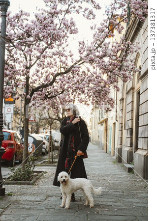 Gray-haired woman stands with her dog on a scenic street lined with blossoming trees. The scene captures a peaceful moment showcasing companionship and nature's beauty. Part of series 137381317