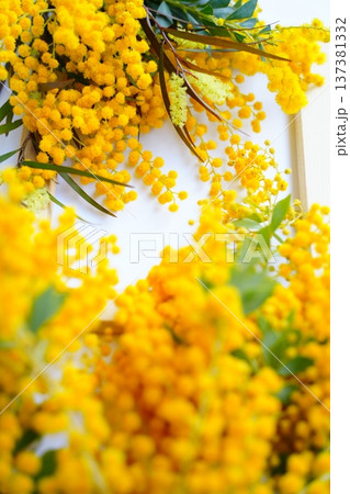 ミモザブーケ　 137381332