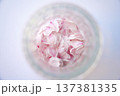 ガラスの瓶、桜の花びら 137381335