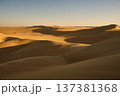 Golden Sand Dunes in Desert Landscape at Sunset 137381368