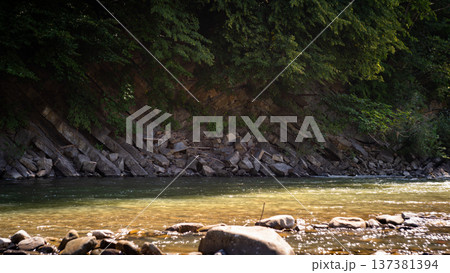 Mountain River Flowing Along Rocky Forest Bank 137381394
