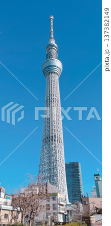 スカイツリーのある風景 スカイツリーのある風景 137382149