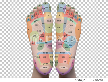 3D illustration of acupressure points on the soles of the feet of a woman 137382812