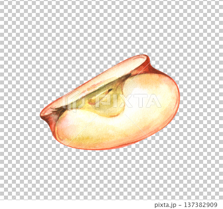 A quarter of a ripe red apple on an isolated background. Watercolor illustration of a piece of juicy fruit. Realistic botanical clipart for decorating cooking and harvesting themes by farmers. 137382909