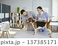 Veterinarian and nurse check beagle dog health during exam at modern clinic 137385171