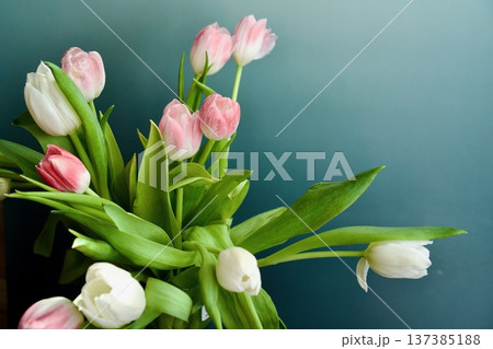 Beautiful bouquet of pink and white tulips on a dark 137385188