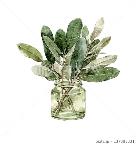 Fresh green leaves in a jar on a simple background with natural light coming from the side 137385331