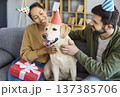 Happy couple celebrating dog birthday at home, party hats and gift on sofa 137385706
