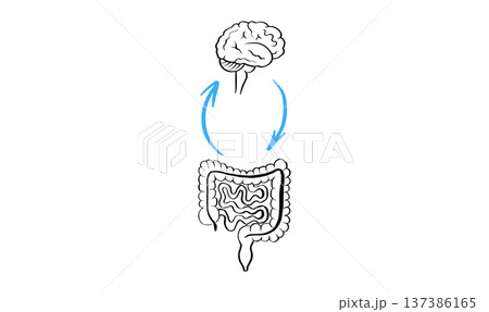 Gut Brain Connection Gut Brain Connection 137386165