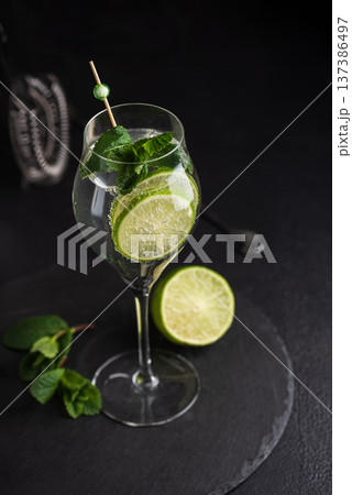 Elegant cocktail Martini Royale garnished with lime slices and fresh mint leaves on dark background Elegant cocktail Martini Royale garnished with lime slices and fresh mint leaves on dark background 137386497