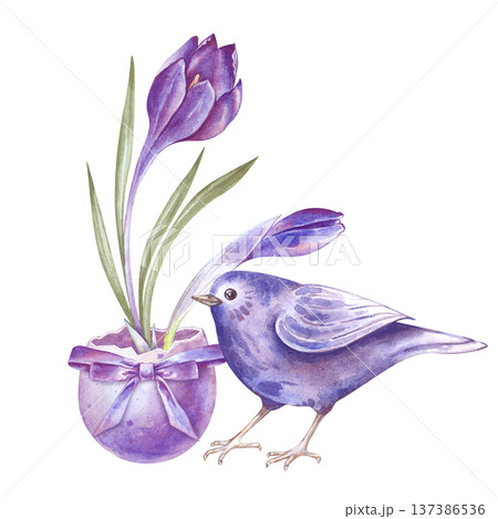 An illustration of a purple crocus growing in a colored eggshell with a beautiful bow and a small songbird. Watercolor composition on an isolated background. Festive clipart on the theme of Easter and An illustration of a purple crocus growing in a colored eggshell with a beautiful bow and a small songbird. Watercolor composition on an isolated background. Festive clipart on the theme of Easter and 137386536