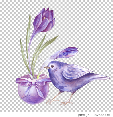 An illustration of a purple crocus growing in a colored eggshell with a beautiful bow and a small songbird. Watercolor composition on an isolated background. Festive clipart on the theme of Easter and An illustration of a purple crocus growing in a colored eggshell with a beautiful bow and a small songbird. Watercolor composition on an isolated background. Festive clipart on the theme of Easter and 137386536