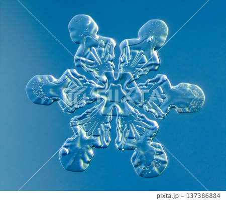 Natural snowflake crystal in blue background Natural snowflake crystal in blue background 137386884