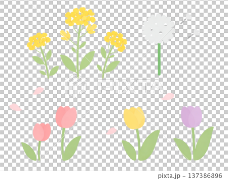 可愛的春花插畫素材 137386896