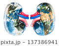 World Kidney Day concept. 3D rendering 137386941