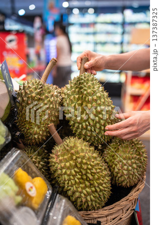Choosing durian fruit. Shopper picks durian at outdoor Asian market examining texture and ripeness 137387325