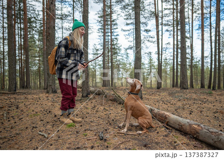 Woman pet owner playing in autumn forest with dog, trains pet throwing stick, enjoying fall. Woman pet owner playing in autumn forest with dog, trains pet throwing stick, enjoying fall. 137387327