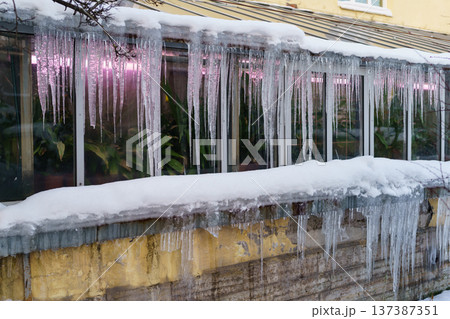 Old greenhouse building with icicles hanging down from roof during freeze and thaw cycles in winter Old greenhouse building with icicles hanging down from roof during freeze and thaw cycles in winter 137387351