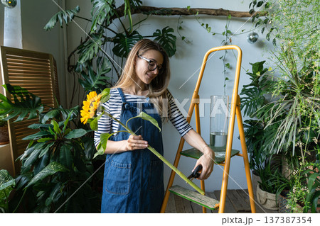 Florist woman surrounded by tropical plants cutting the stem of yellow sunflower using secateurs 137387354