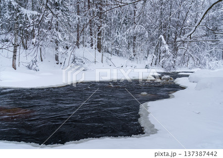 Non-freezing running river in snowy forest on gloomy cold winter day Non-freezing running river in snowy forest on gloomy cold winter day 137387442