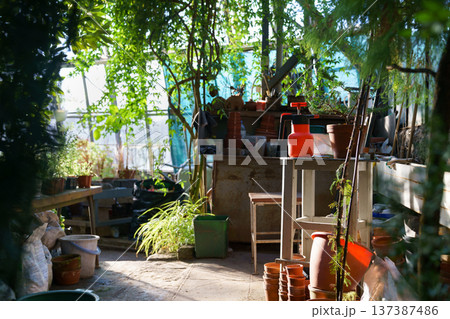Tools for growing, planting, cultivating plants in old greenhouse. Workplace of florist or botanist Tools for growing, planting, cultivating plants in old greenhouse. Workplace of florist or botanist 137387486