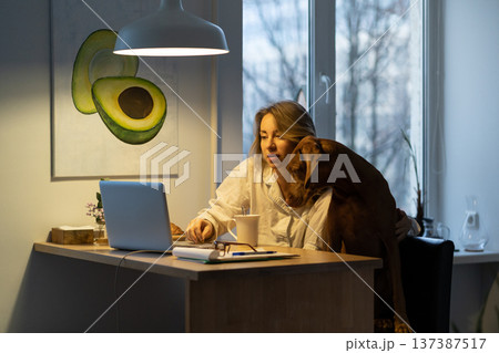 Woman in pajamas sitting with dog on chair in kitchen room, drinking tea, remotely working at laptop Woman in pajamas sitting with dog on chair in kitchen room, drinking tea, remotely working at laptop 137387517
