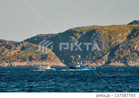 the coast of the Barents Sea, pleasure boats in the sea, the rocky shore with colourful arctic carpet of moss, yagel, Tundra at autumn 137387703