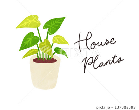 HousePlantsとシンゴニウムの鉢植え 水彩風手描きイラスト HousePlantsとシンゴニウムの鉢植え 水彩風手描きイラスト 137388395
